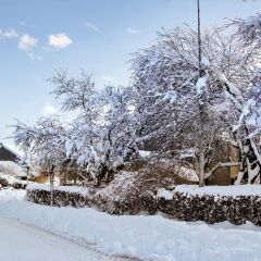 Отель House With 14 Bedrooms in Anthisnes, With Enclosed Garden and Wifi фото 5