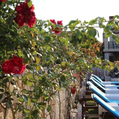 Windmill Alacati Boutique Hotel Турция, Чешме - отзывы, цены и фото номеров - забронировать отель Windmill Alacati Boutique Hotel онлайн фото 14