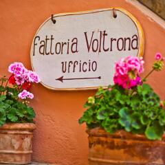 Отель Fattoria Voltrona Италия, Сан-Джиминьяно - отзывы, цены и фото номеров - забронировать отель Fattoria Voltrona онлайн спа