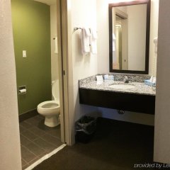 Sleep Inn Tanglewood in Roanoke, United States of America from 120$, photos, reviews - zenhotels.com bathroom