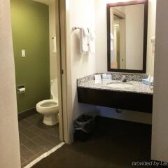 Sleep Inn Tanglewood in Roanoke, United States of America from 110$, photos, reviews - zenhotels.com bathroom