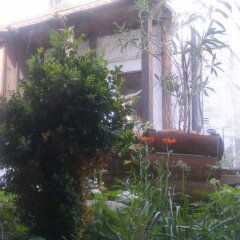 Отель Todeva House Банско фото 3