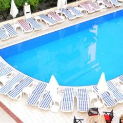 Almena Hotel с домашними животными