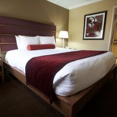 Отель Best Western Plus Casino Royale США, Лас-Вегас - отзывы, цены и фото номеров - забронировать отель Best Western Plus Casino Royale онлайн комната для гостей фото 5