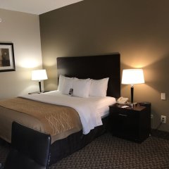 Comfort Inn Horn Lake - Southaven in Horn Lake, United States of America from 136$, photos, reviews - zenhotels.com guestroom photo 2