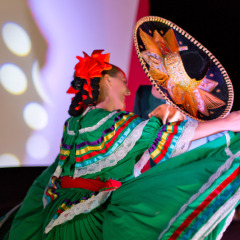 Отель Villa del Palmar Beach Resort and Spa, Puerto Vallarta развлечения