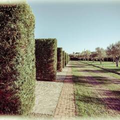All Ways Garden Hotel & Leisure фото 15