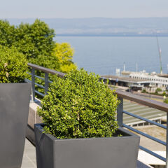 Отель Hilton Evian-les-Bains пляж