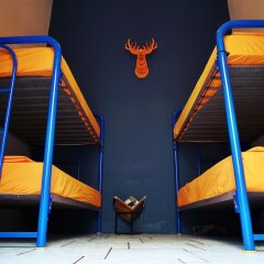 Blue Pepper Hostel Downtown Гвадалахара детские мероприятия фото 2