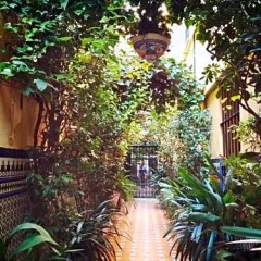 Отель Hostal Atenas фото 7
