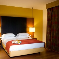 Отель Lezíria Parque Hotel Португалия, Вила-Франка-де-Ксира - отзывы, цены и фото номеров - забронировать отель Lezíria Parque Hotel онлайн комната для гостей фото 3