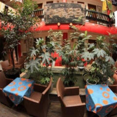 Dragontown International Youth Hostel