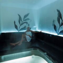 Отель Sofitel Frankfurt Opera Германия, Франкфурт-на-Майне - отзывы, цены и фото номеров - забронировать отель Sofitel Frankfurt Opera онлайн бассейн фото 2