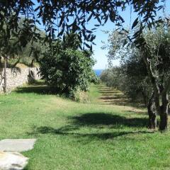 Отель Agriturismo PeterPan Лоано фото 3
