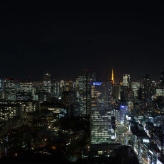 Отель The Prince Gallery Tokyo Kioicho, A Luxury Collection Hotel Япония, Токио - отзывы, цены и фото номеров - забронировать отель The Prince Gallery Tokyo Kioicho, A Luxury Collection Hotel онлайн балкон