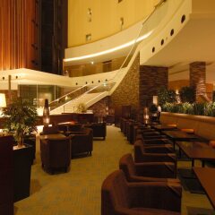 Tokyo Bay Maihama Hotel гостиничный бар