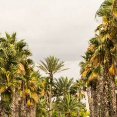 Отель Camping Vendrell Platja фото 13