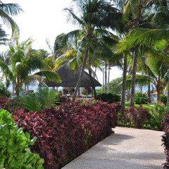 Отель Oasis Cancun Lite фото 5
