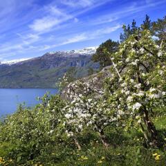 Hardanger Hotel фото 14