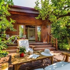 Отель Villa Lukka