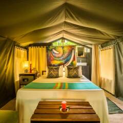 Отель Mahoora Tented Safari Camp All-Inclusive - Yala Шри-Ланка, Катарагама - отзывы, цены и фото номеров - забронировать отель Mahoora Tented Safari Camp All-Inclusive - Yala онлайн спа фото 2