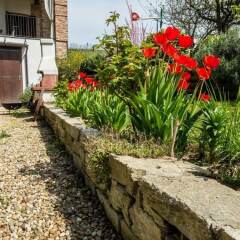 Отель Bed and Breakfast Cascina Beccaris Костиглиоле-д'Асти фото 13