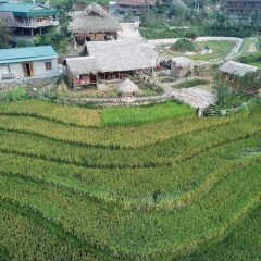 Отель Golden Rice Garden Sapa Шапа фото 18