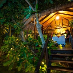 Отель Eden Resort & Spa Шри-Ланка, Берувела - отзывы, цены и фото номеров - забронировать отель Eden Resort & Spa онлайн
