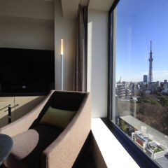 Отель Richmond Hotel Premier Asakusa International Япония, Токио - 2 отзыва об отеле, цены и фото номеров - забронировать отель Richmond Hotel Premier Asakusa International онлайн комната для гостей фото 4
