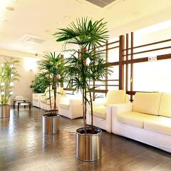 Toyama Town Hotel Тояма фото 5