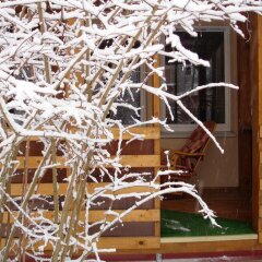 Отель Guest Complex Sosny Светлогорск гостиничный бар
