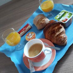 A.R.T Hotel Paris Est с домашними животными