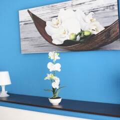 Отель Iris Room