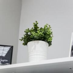 Отель Barcelona Fira Boutique Испания, Оспиталет-де-Льобрегат - отзывы, цены и фото номеров - забронировать отель Barcelona Fira Boutique онлайн ванная фото 2
