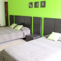 Отель Hostal Amigo Suites Мексика, Мехико - 3 отзыва об отеле, цены и фото номеров - забронировать отель Hostal Amigo Suites онлайн комната для гостей