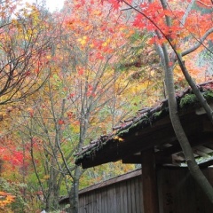 Отель Hozenji Onsen Ryokan Ebitei Минамиогуни