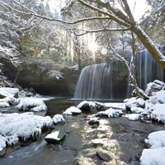 Отель Okunoyu Минамиогуни помещение для мероприятий фото 2