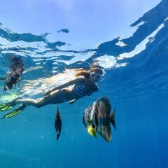 Отель Sheraton Maldives Full Moon Resort & Spa Мальдивы, Северный атолл Мале - отзывы, цены и фото номеров - забронировать отель Sheraton Maldives Full Moon Resort & Spa онлайн фото 2
