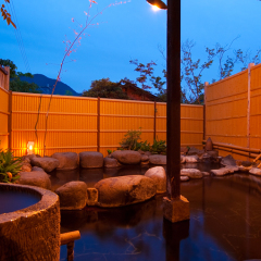 Отель Ryokan Yufuintei Хидзи бассейн фото 2