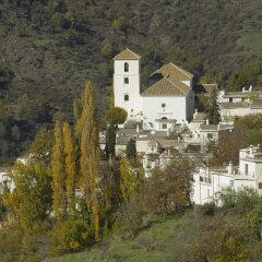 Muley Hacen in Capileira, Spain from 117$, photos, reviews - zenhotels.com photo 10