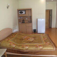 Hotel Svyazist Plus Москва в номере