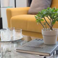 Апартаменты Polis Apartments гостиничный бар