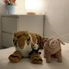 Отель iHouse ChinChin в номере