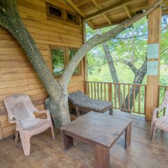 Отель Wilpattu Tree House Hotel Шри-Ланка, Анурадхапура - отзывы, цены и фото номеров - забронировать отель Wilpattu Tree House Hotel онлайн балкон