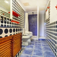Отель 103945 - Villa in Santa Ponsa спа