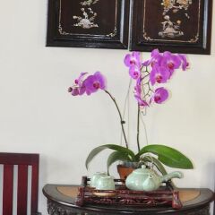 Отель Bonsai Homestay Хойан в номере