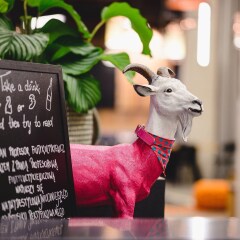 Отель Moxy Poznan Airport Польша, Познань - отзывы, цены и фото номеров - забронировать отель Moxy Poznan Airport онлайн гостиничный бар