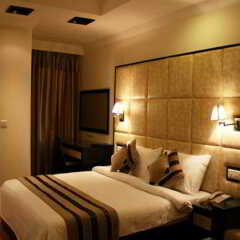 Green Valley(Nehru Place) - Boutique Hotel комната для гостей фото 2
