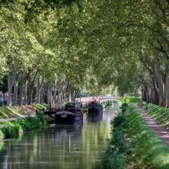 Отель Pullman Toulouse Centre Франция, Тулуза - отзывы, цены и фото номеров - забронировать отель Pullman Toulouse Centre онлайн приотельная территория