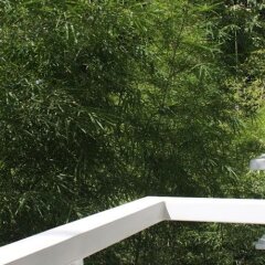 Отель Greenspace Palawan Hotel Филиппины, Пуэрто-Принцеса - отзывы, цены и фото номеров - забронировать отель Greenspace Palawan Hotel онлайн балкон